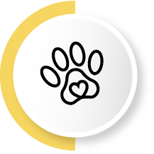 plik foto id: 1407796975